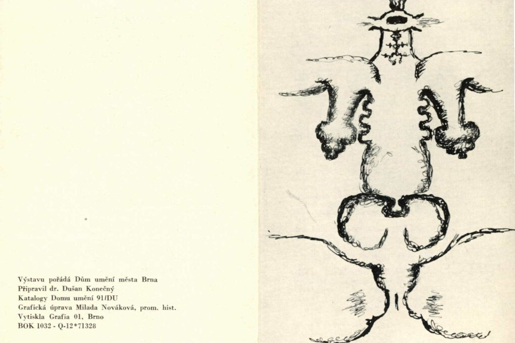 Mladý sovětský experiment